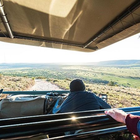 Leeuwenbosch Country House - Amakhala Game Reserve Ngoại thất bức ảnh