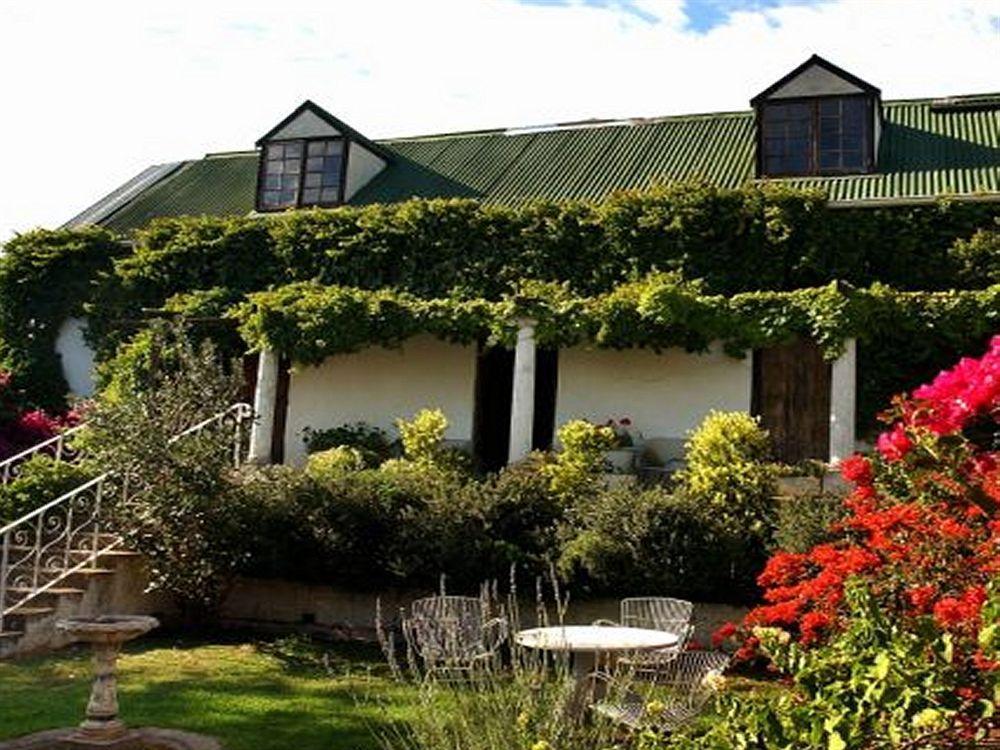 Leeuwenbosch Country House - Amakhala Game Reserve Ngoại thất bức ảnh