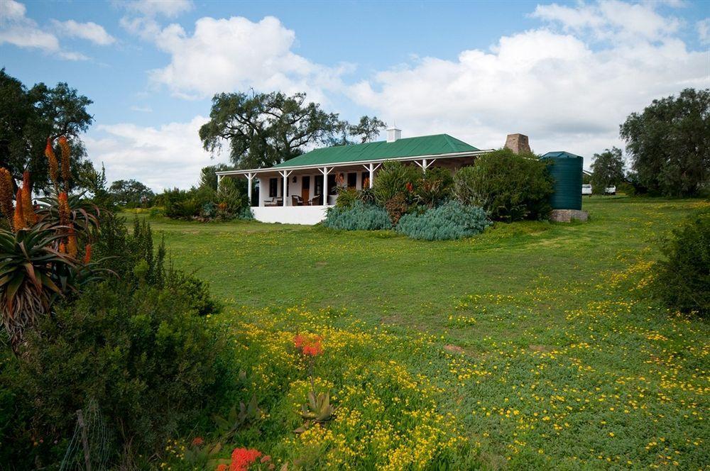 Leeuwenbosch Country House - Amakhala Game Reserve Ngoại thất bức ảnh