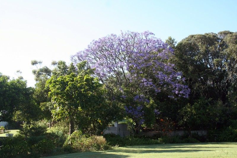 Leeuwenbosch Country House - Amakhala Game Reserve Ngoại thất bức ảnh