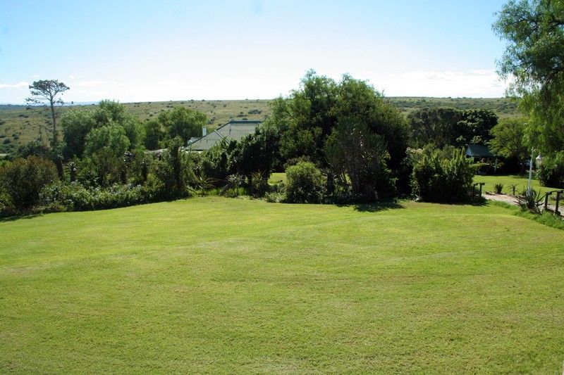 Leeuwenbosch Country House - Amakhala Game Reserve Ngoại thất bức ảnh