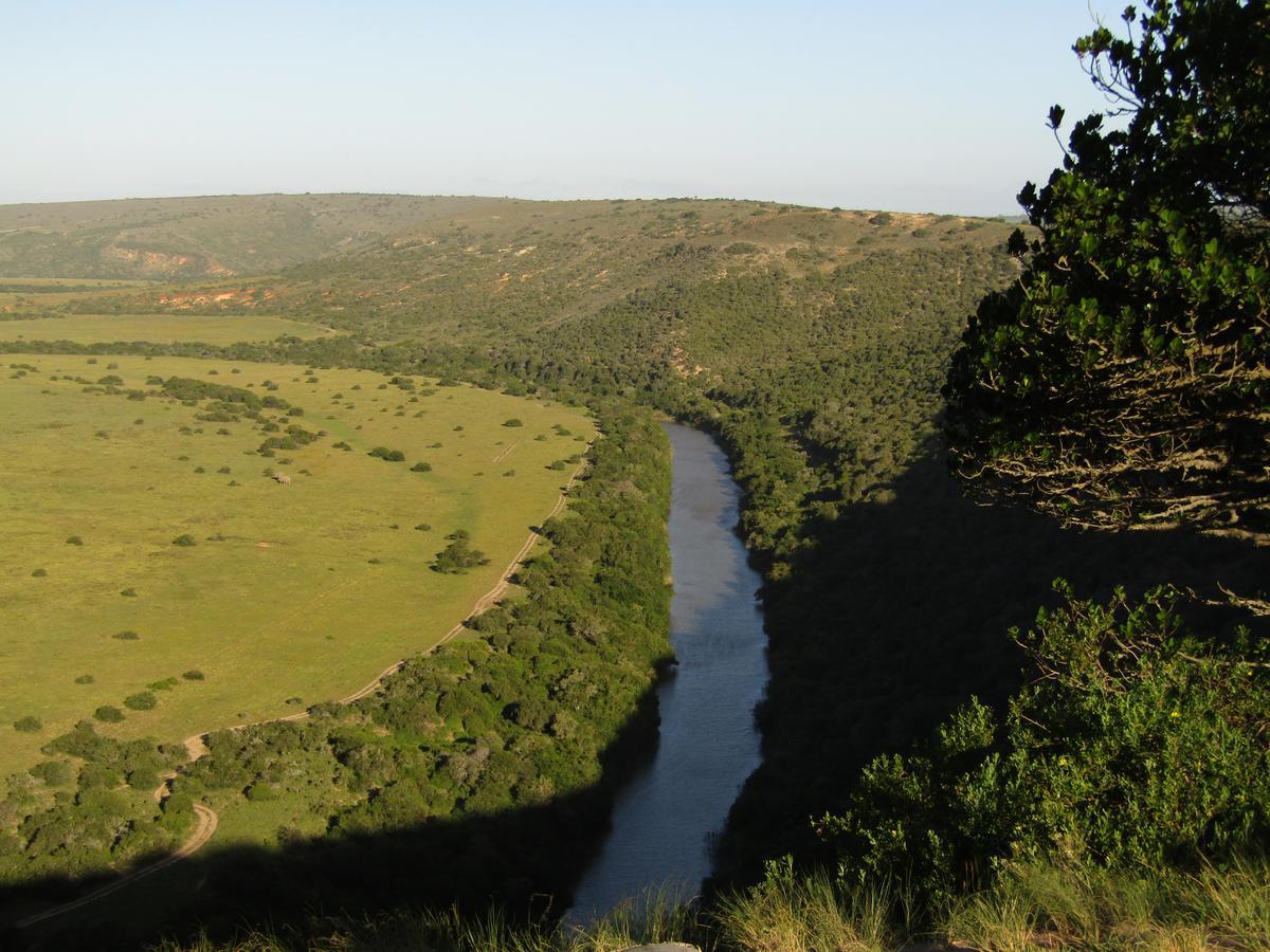 Leeuwenbosch Country House - Amakhala Game Reserve Ngoại thất bức ảnh