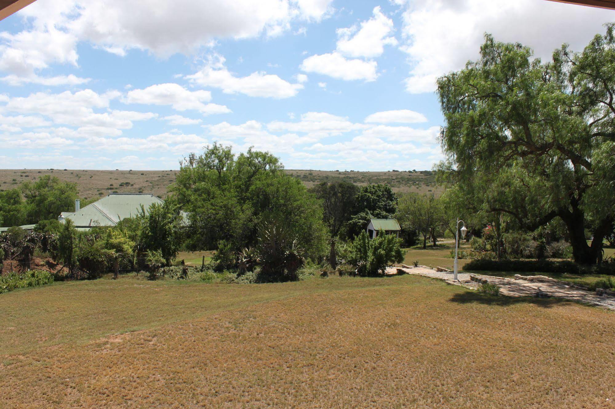 Leeuwenbosch Country House - Amakhala Game Reserve Ngoại thất bức ảnh