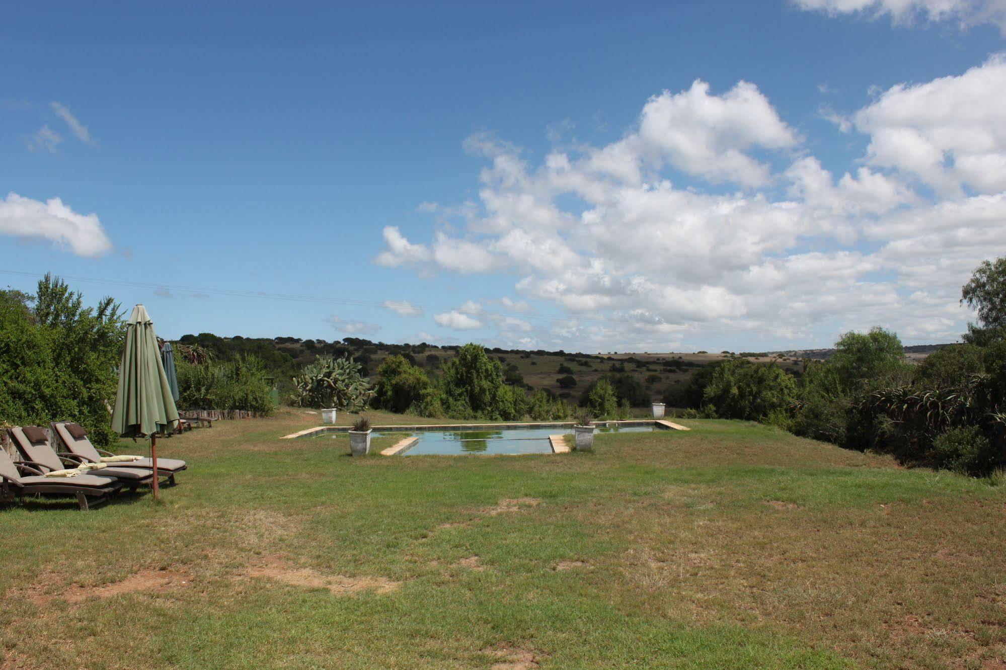 Leeuwenbosch Country House - Amakhala Game Reserve Ngoại thất bức ảnh