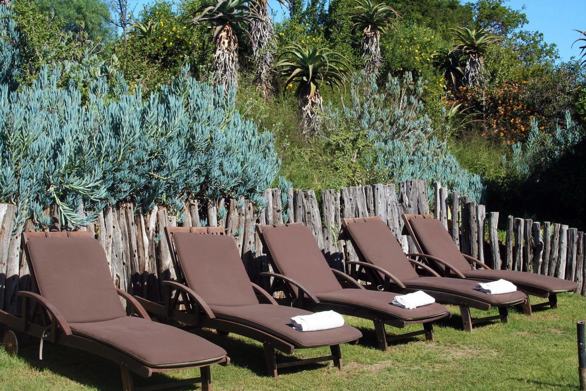 Leeuwenbosch Country House - Amakhala Game Reserve Ngoại thất bức ảnh