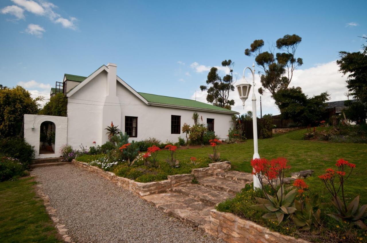 Leeuwenbosch Country House - Amakhala Game Reserve Ngoại thất bức ảnh