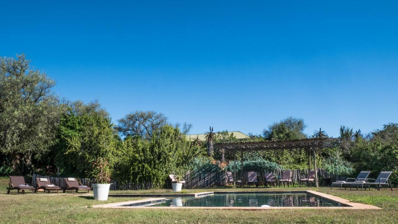 Leeuwenbosch Country House - Amakhala Game Reserve Ngoại thất bức ảnh
